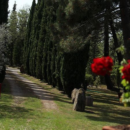 Вилла L'Antica Pala Bucine Экстерьер фото